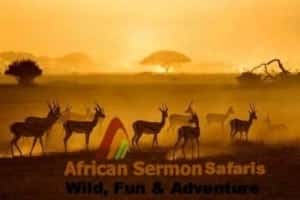 Quick Facts for a Kenya Tour : Kenya safari tour - masai mara facts and kenya safari tips