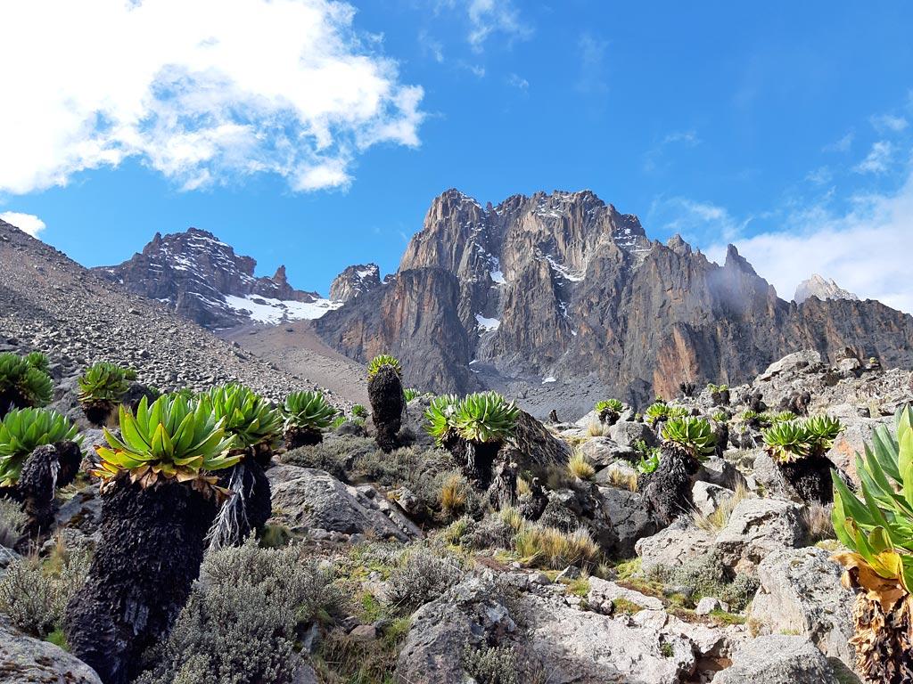 5-Day Mount Kenya Climbing Expeditions via the Chogoria Route: A Comprehensive Guide 5-Day Mount Kenya Climb via Chogoria Route: Ultimate Guide